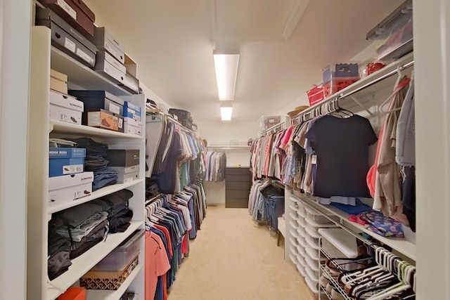 walk in closet featuring light carpet