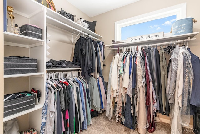 walk in closet featuring carpet flooring