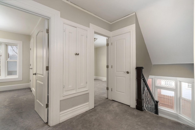 hallway featuring lofted ceiling, a wealth of natural light, and carpet floors