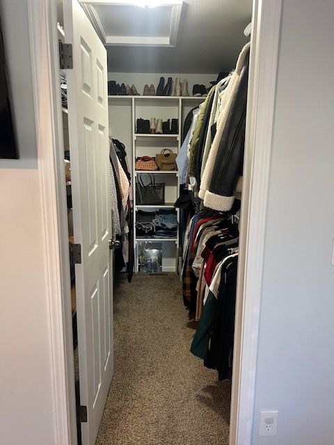 spacious closet featuring carpet floors