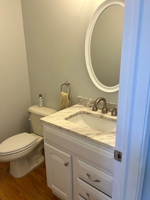 bathroom featuring toilet, vanity, and hardwood / wood-style flooring