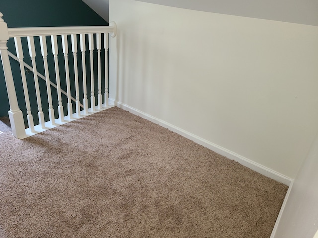 stairway featuring carpet floors