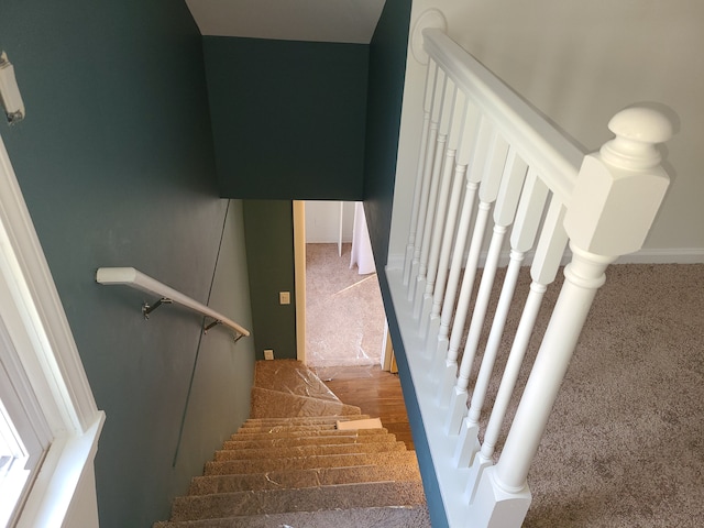 stairway featuring carpet floors