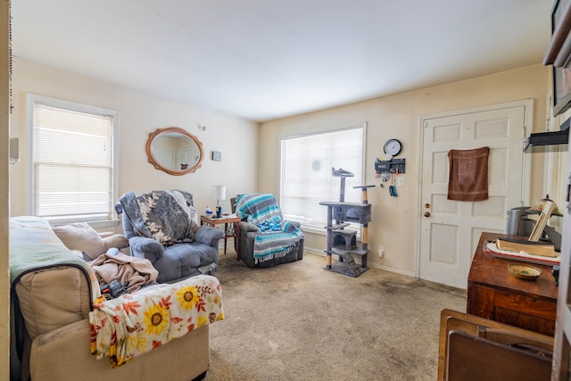 view of carpeted living room