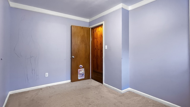 carpeted empty room with ornamental molding