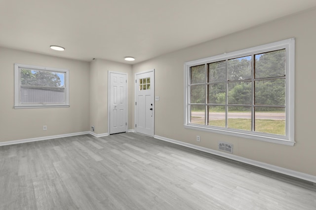 interior space featuring light hardwood / wood-style floors and a wealth of natural light