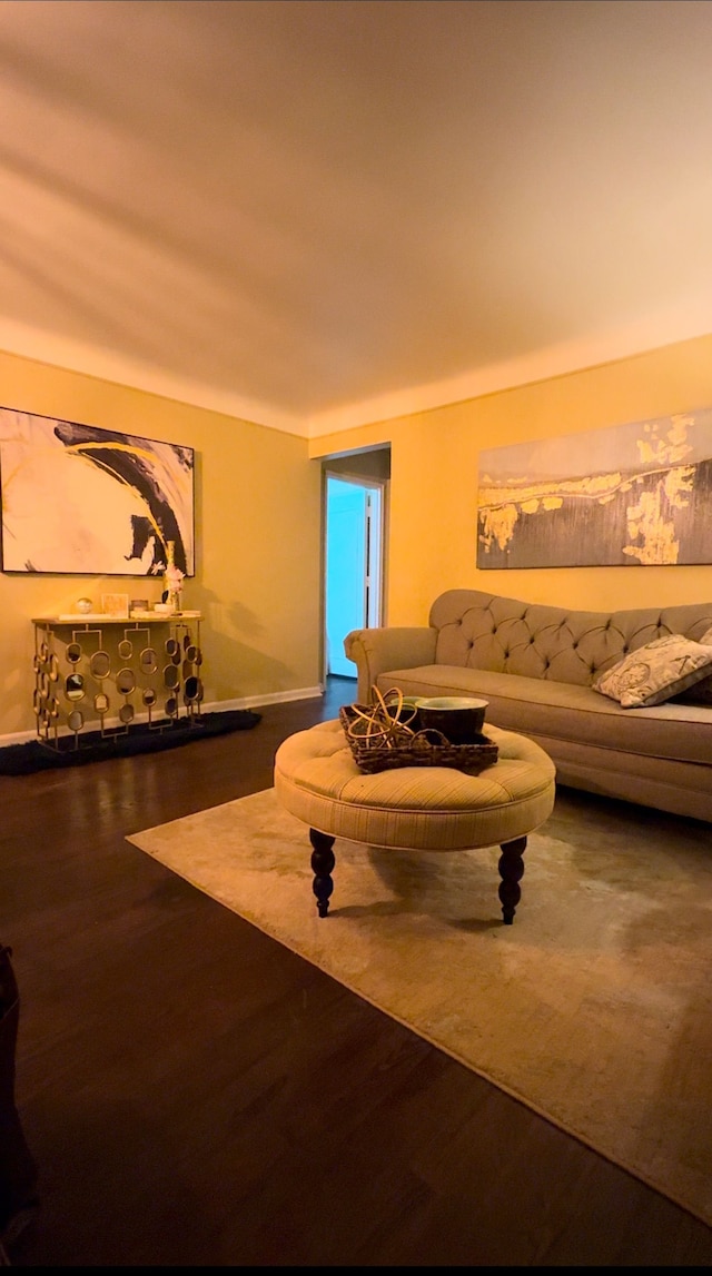 living room featuring wood-type flooring