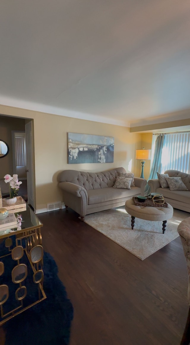 living room featuring dark hardwood / wood-style floors