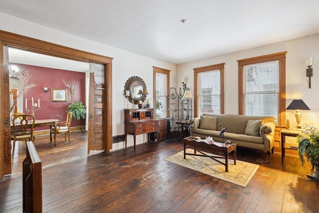 living room with dark hardwood / wood-style flooring