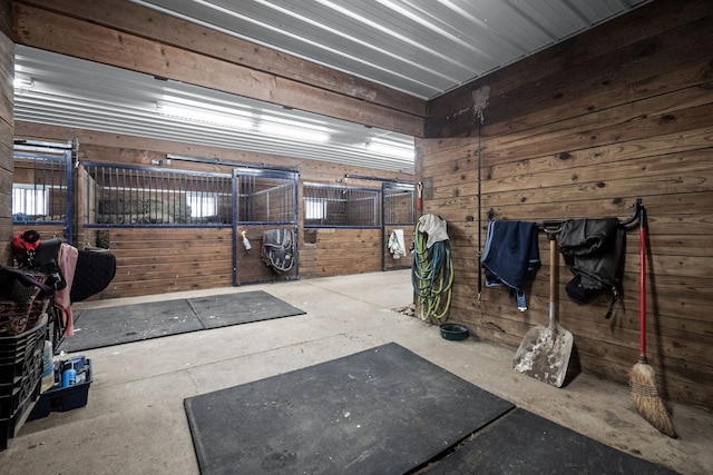 view of horse barn