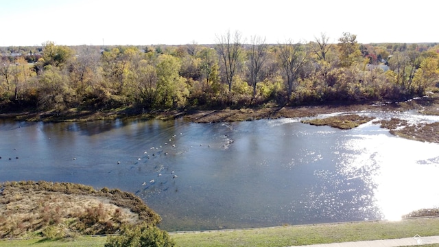 property view of water