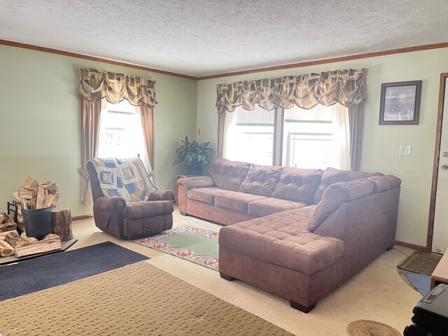 carpeted living room with a textured ceiling and ornamental molding