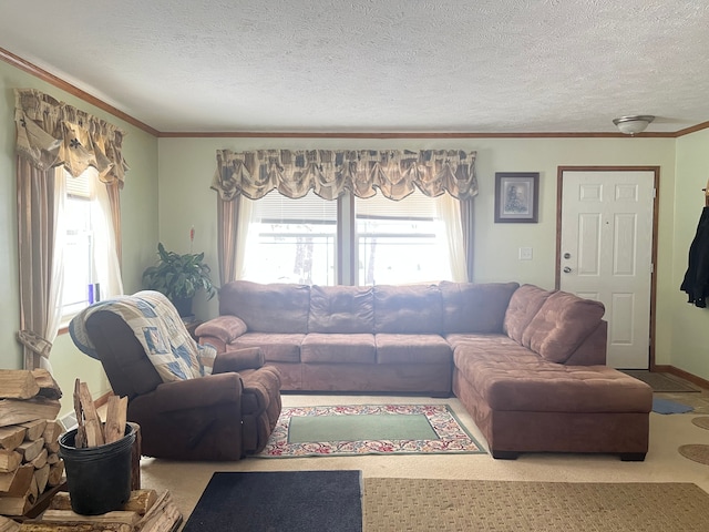 living area with carpet, a textured ceiling, and plenty of natural light