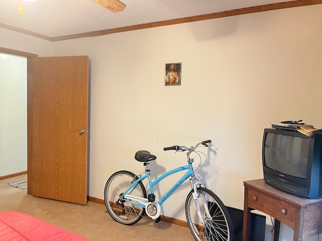 workout room featuring carpet, baseboards, and crown molding