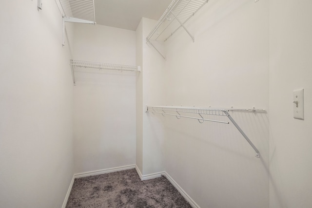 spacious closet featuring carpet floors