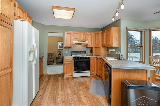 kitchen featuring sink, white appliances, light wood-type flooring, tile counters, and decorative backsplash