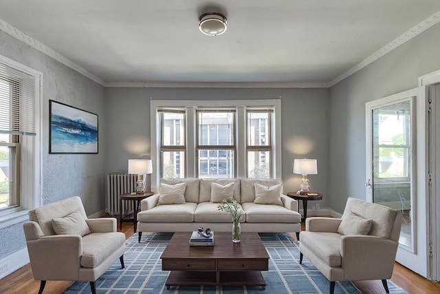 living room with ornamental molding, hardwood / wood-style floors, plenty of natural light, and radiator