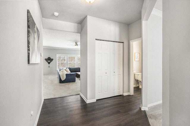 hall featuring dark wood-type flooring