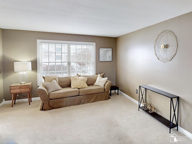 living room with carpet flooring