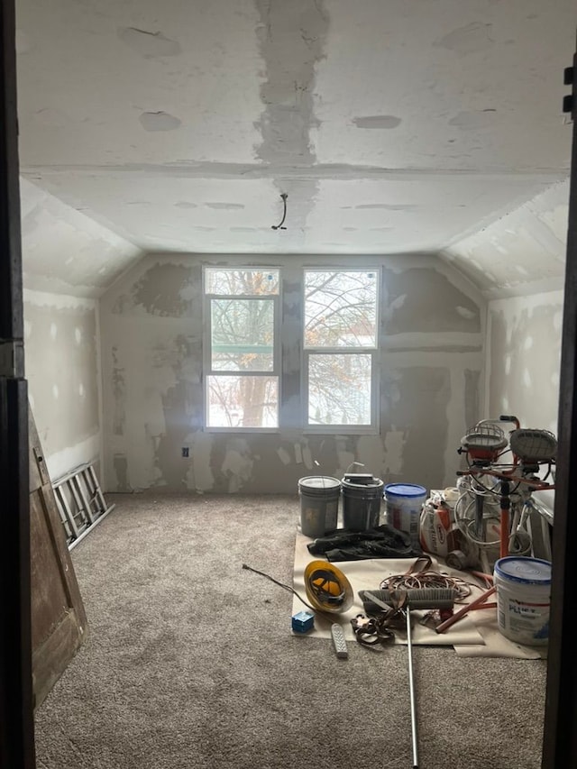 additional living space with lofted ceiling and carpet floors