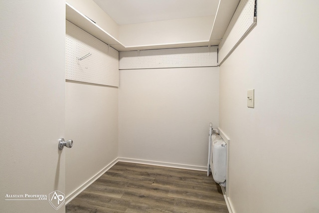 walk in closet featuring dark wood-type flooring