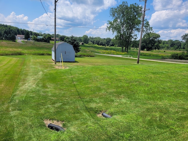 view of yard with a storage unit