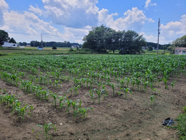 view of yard with a rural view