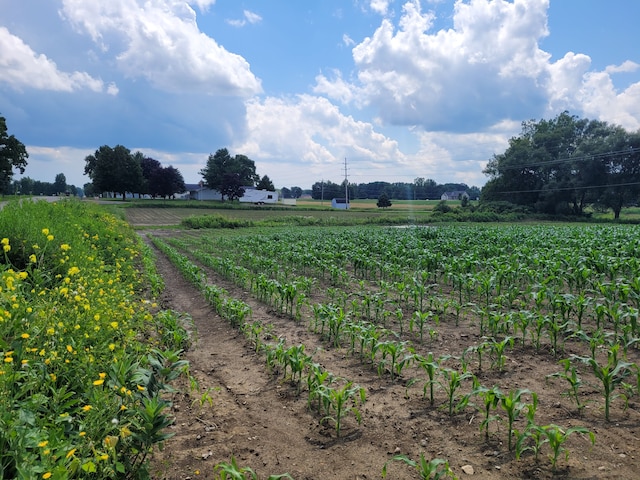 view of yard featuring a rural view