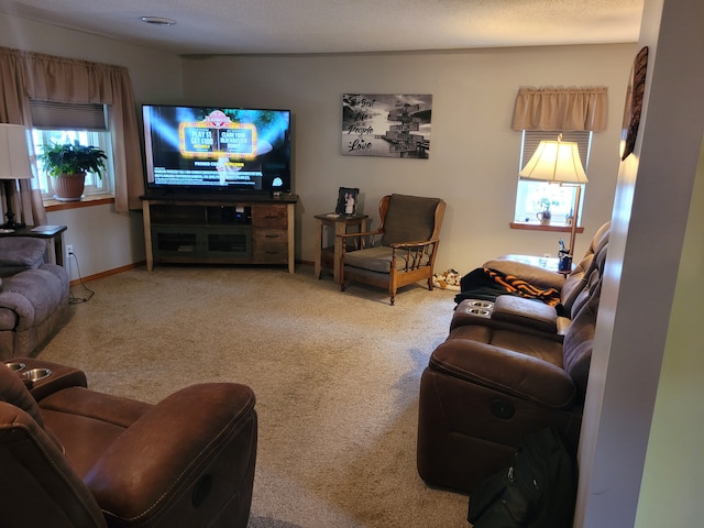 living room featuring carpet flooring