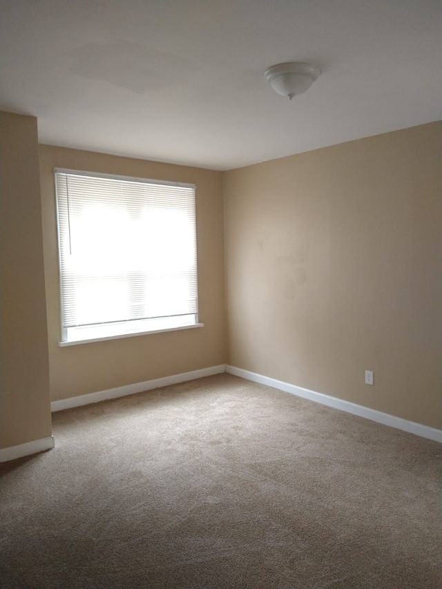 empty room featuring carpet