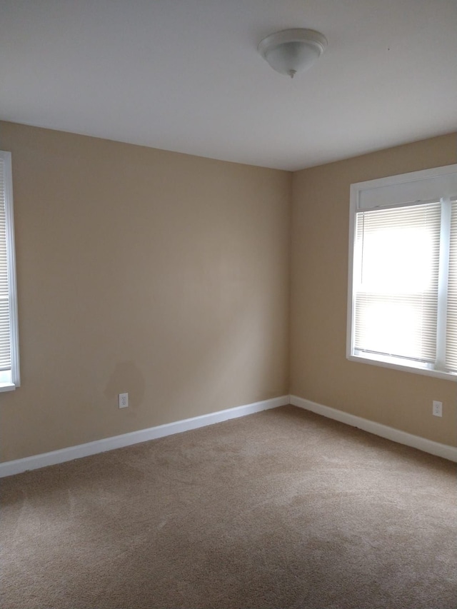 spare room with carpet floors