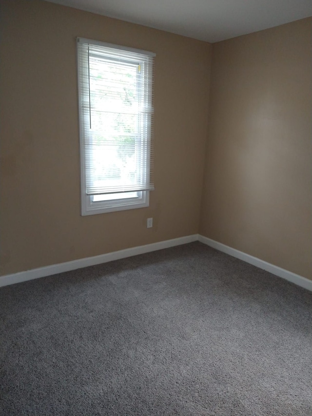 spare room featuring carpet flooring