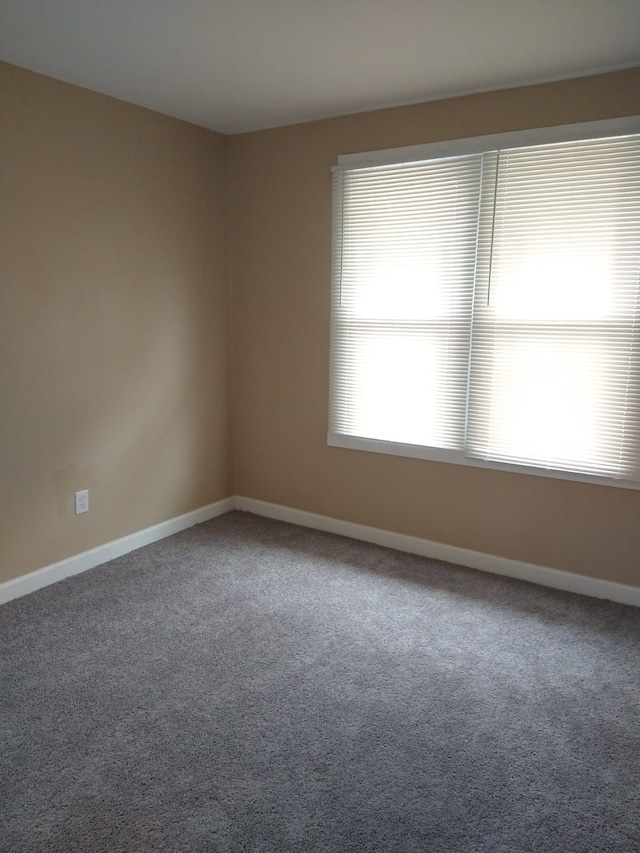 empty room with carpet flooring and a wealth of natural light