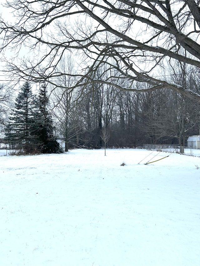 view of yard covered in snow