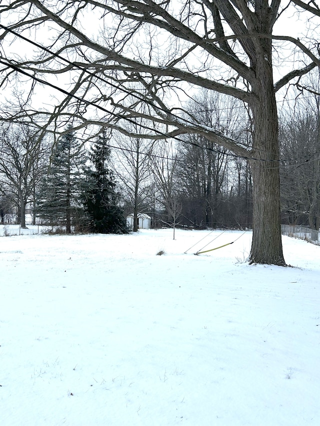 view of yard covered in snow