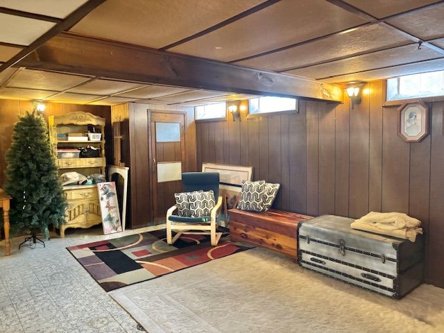 living area with wooden walls