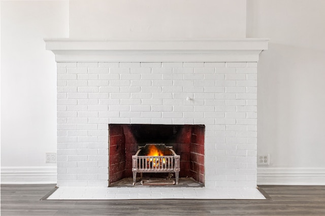 details featuring wood-type flooring and a fireplace