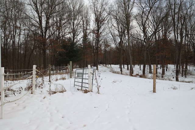 view of snowy yard