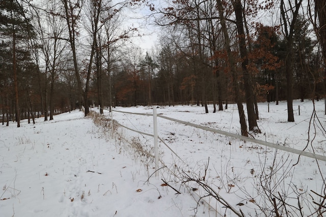 view of yard covered in snow