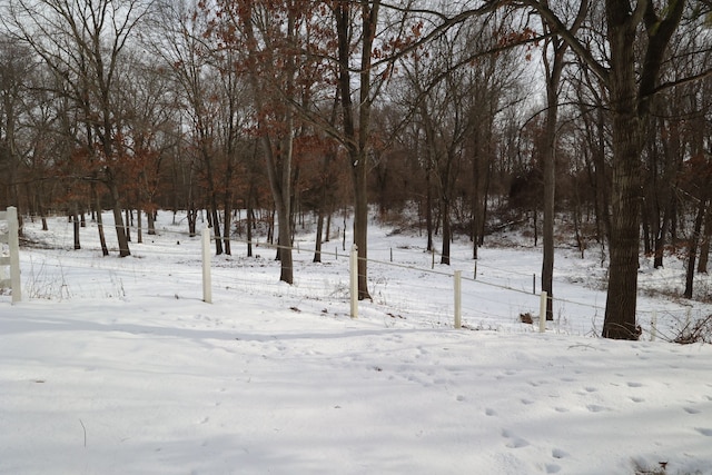 view of snowy view