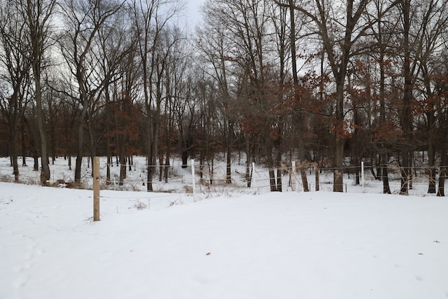 view of yard covered in snow