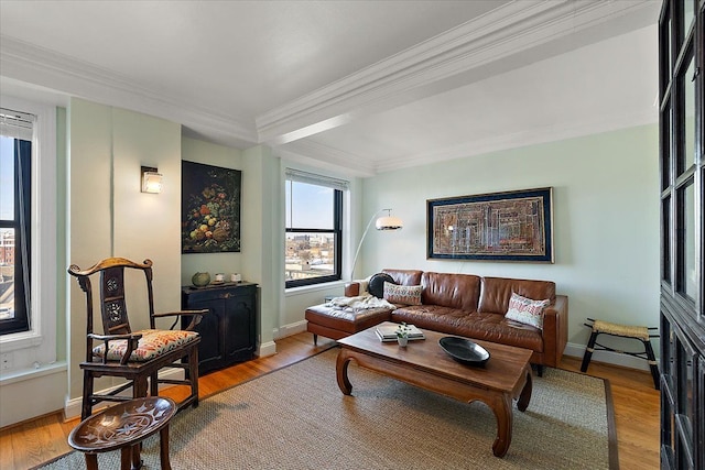 living room with crown molding and light hardwood / wood-style floors