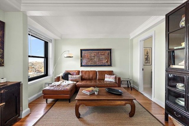 living room featuring light wood-type flooring and crown molding