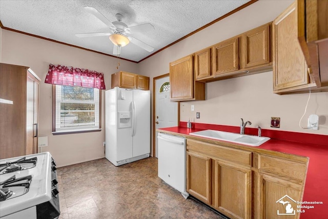 kitchen featuring white appliances, ceiling fan, ornamental molding, a textured ceiling, and sink