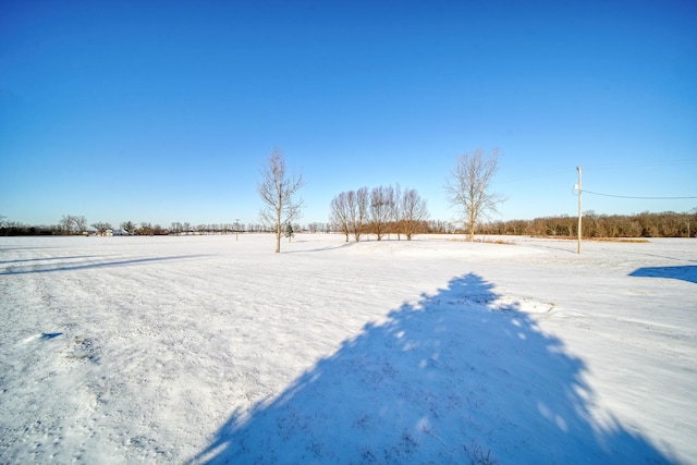 view of yard covered in snow