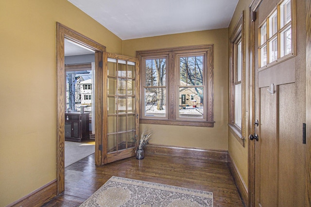 entrance foyer with dark hardwood / wood-style flooring