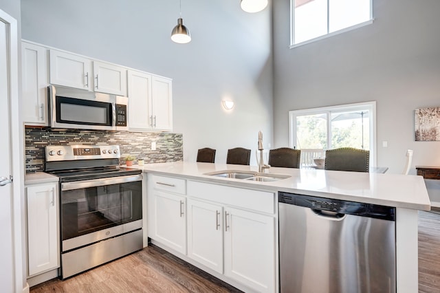 kitchen featuring a sink, appliances with stainless steel finishes, a wealth of natural light, and light wood finished floors