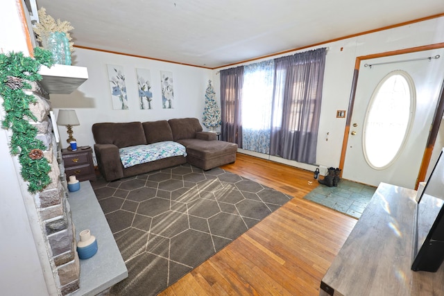 living room featuring crown molding, dark hardwood / wood-style floors, and a baseboard heating unit