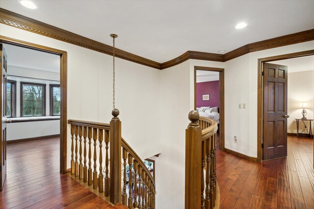 hallway featuring ornamental molding and dark hardwood / wood-style floors