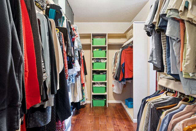 walk in closet featuring dark hardwood / wood-style flooring